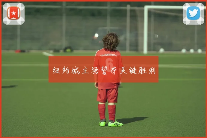 纽约城主场誓夺关键胜利