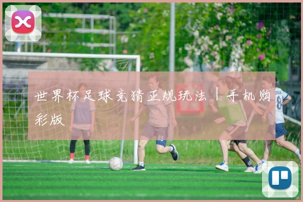 世界杯足球竞猜正规玩法|手机购彩版