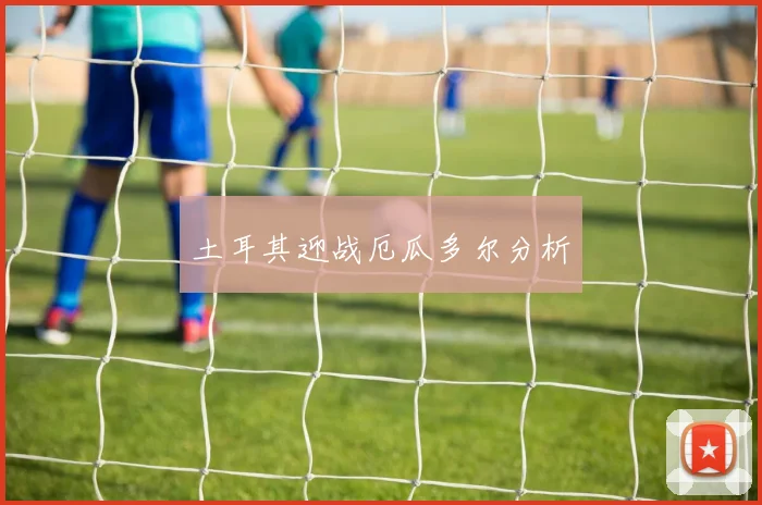 土耳其迎战厄瓜多尔分析
