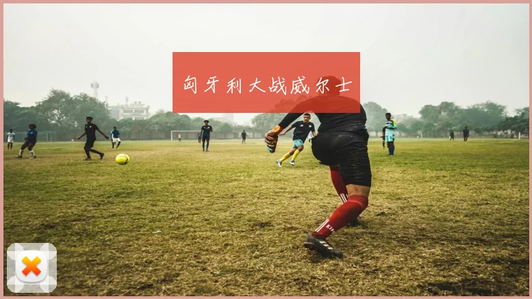 匈牙利大战威尔士