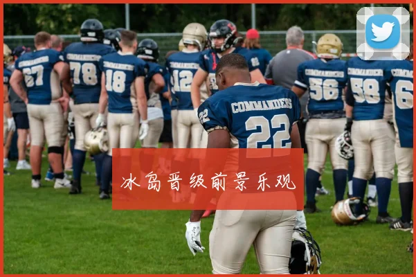 冰岛晋级前景乐观