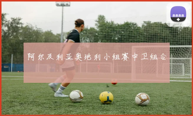 阿尔及利亚奥地利小组赛中卫组合