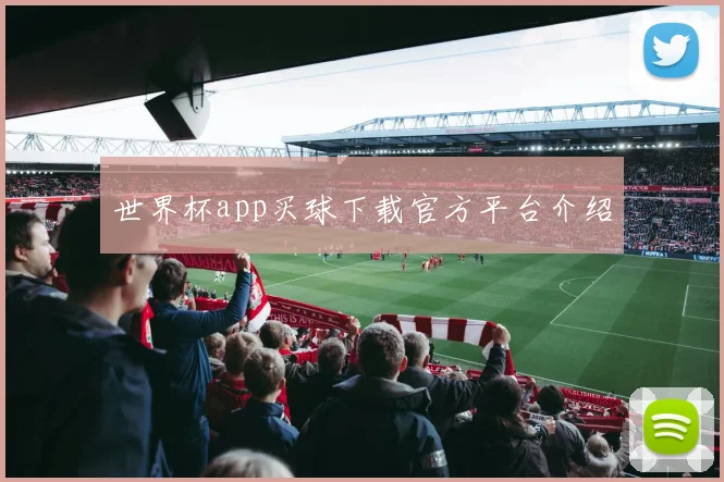 世界杯app买球下载官方平台介绍