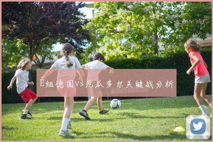 E组德国vs厄瓜多尔关键战分析