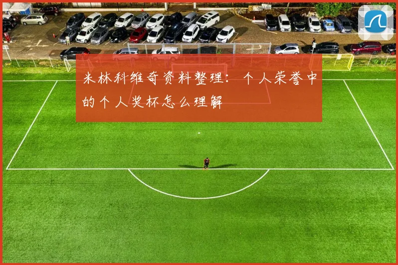 米林科维奇资料整理：个人荣誉中的个人奖杯怎么理解