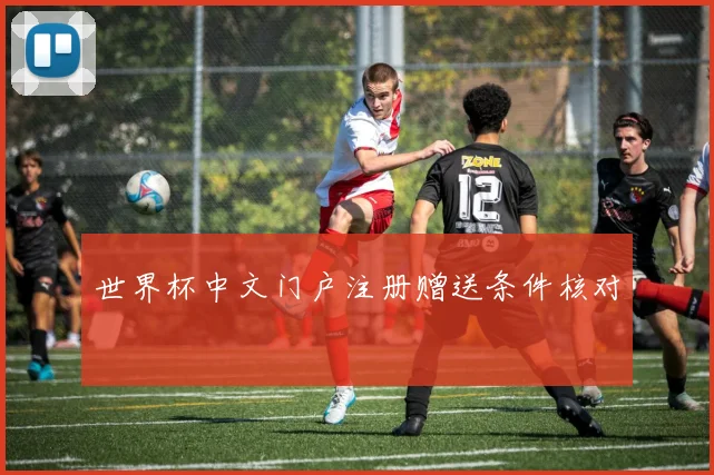 世界杯中文门户注册赠送条件核对