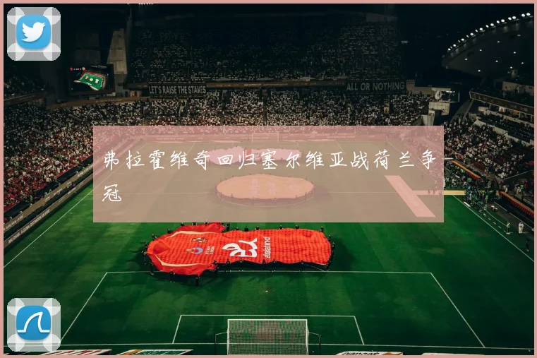 弗拉霍维奇回归塞尔维亚战荷兰争冠