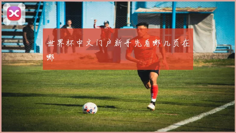 世界杯中文门户新手先看哪几页在哪