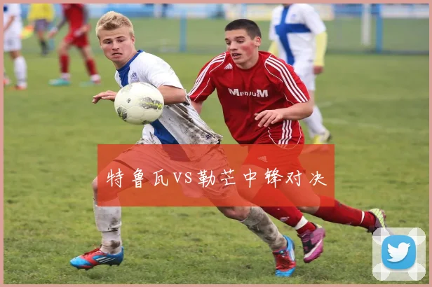 特鲁瓦vs勒芒中锋对决