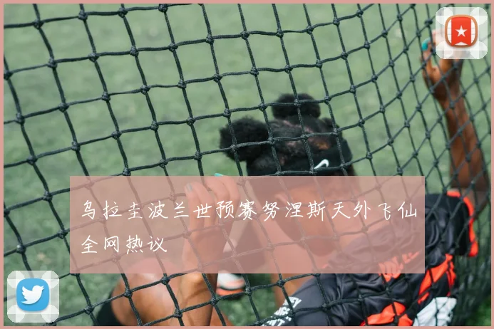 乌拉圭波兰世预赛努涅斯天外飞仙全网热议