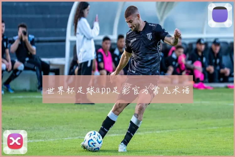 世界杯足球app足彩官方常见术语