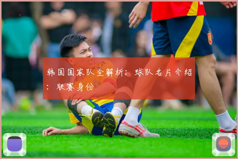 韩国国家队全解析：球队名片介绍：联赛身份